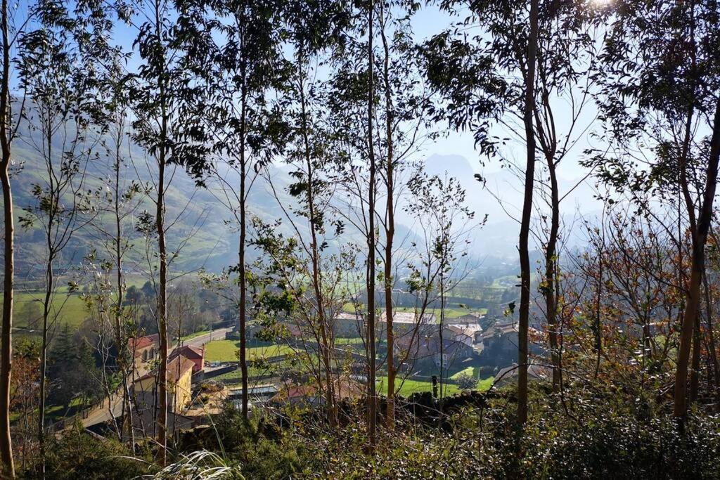 Mugidos lejanos La Vega (Lierganes, Cantabria) Exterior foto